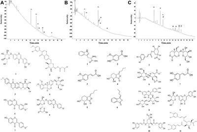 The Herbal Combination of Radix astragali, Radix angelicae sinensis, and Caulis lonicerae Regulates the Functions of Type 2 Innate Lymphocytes and Macrophages Contributing to the Resolution of Collagen-Induced Arthritis